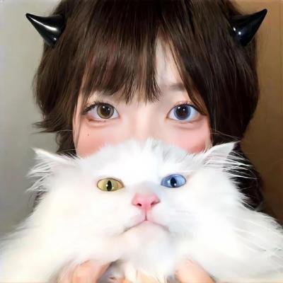 那座城这家人